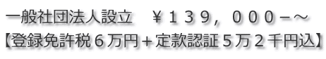 一般社団法人設立　￥１３９，０００－～ 【登録免許税６万円＋定款認証５万２千円込】